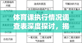 体育课执行情况调查表深度探讨，揭示问题与解决方案