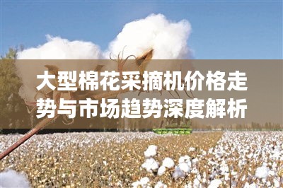 大型棉花采摘机价格走势与市场趋势深度解析