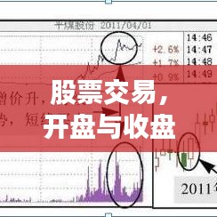 2025年1月7日 第4页