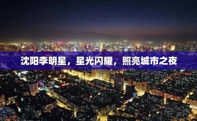 沈阳李明星，星光闪耀，照亮城市之夜