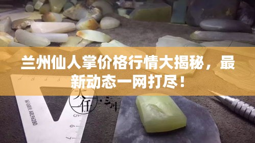 兰州仙人掌价格行情大揭秘，最新动态一网打尽！