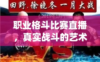 职业格斗比赛直播，真实战斗的艺术瞬间展现