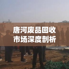 唐河废品回收市场深度剖析