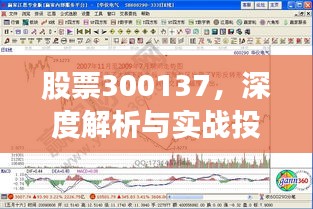 股票300137，深度解析与实战投资策略探讨