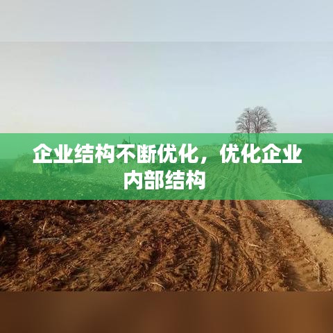 企业结构不断优化，优化企业内部结构 