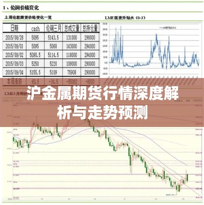 沪金属期货行情深度解析与走势预测