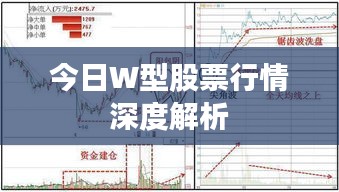 今日W型股票行情深度解析