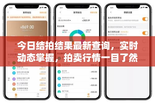 今日结拍结果最新查询，实时动态掌握，拍卖行情一目了然