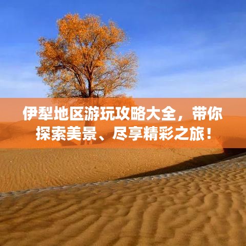 伊犁地区游玩攻略大全，带你探索美景、尽享精彩之旅！