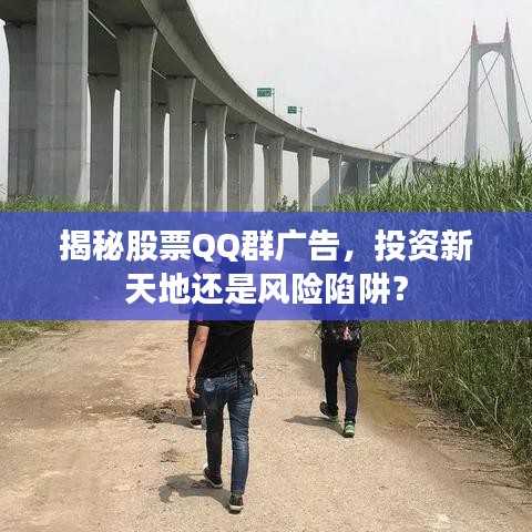 揭秘股票QQ群广告，投资新天地还是风险陷阱？