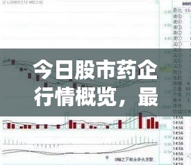 今日股市药企行情概览，最新走势、影响因素深度解析