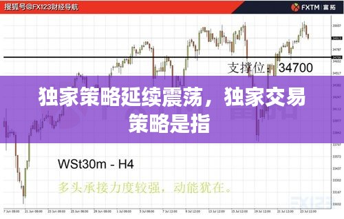 独家策略延续震荡，独家交易策略是指 