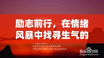 励志前行，在情绪风暴中找寻生气的力量，激发无限潜能