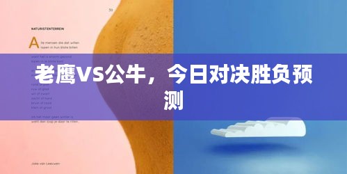 老鹰VS公牛，今日对决胜负预测