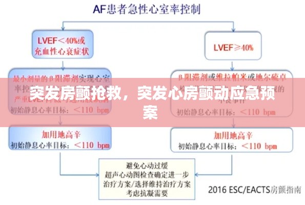 突发房颤抢救，突发心房颤动应急预案 