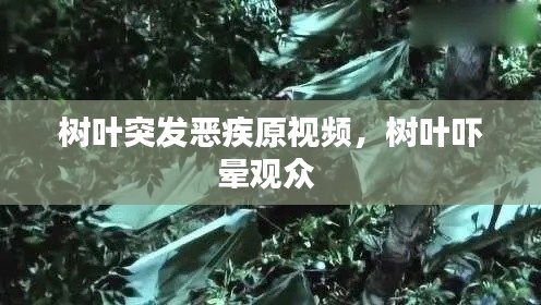 树叶突发恶疾原视频，树叶吓晕观众 