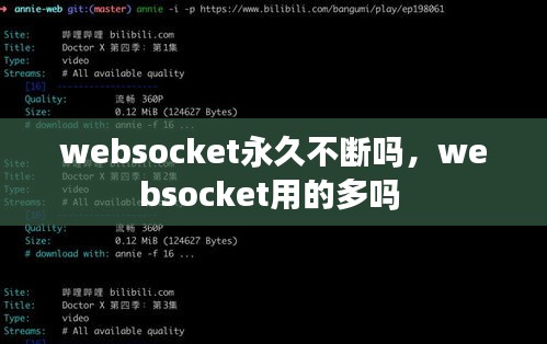 websocket永久不断吗，websocket用的多吗 