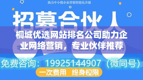 桐城优选网站排名公司助力企业网络营销，专业伙伴推荐