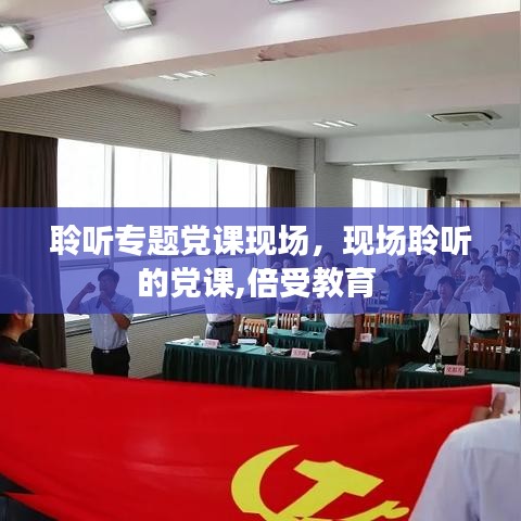 聆听专题党课现场，现场聆听的党课,倍受教育 