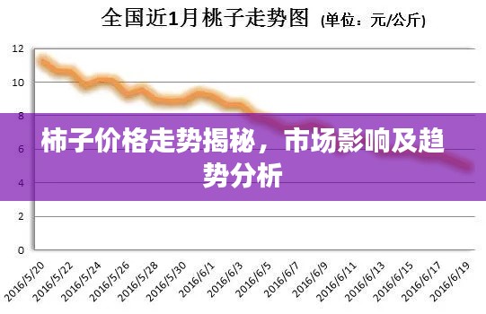 柿子价格走势揭秘，市场影响及趋势分析