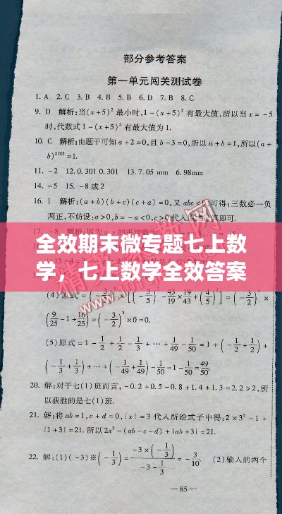 全效期末微专题七上数学，七上数学全效答案b 