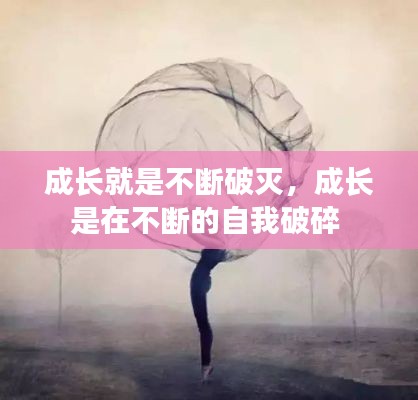 成长就是不断破灭，成长是在不断的自我破碎 