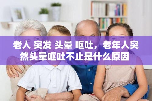 老人 突发 头晕 呕吐，老年人突然头晕呕吐不止是什么原因 