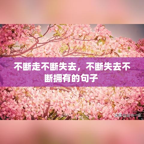 不断走不断失去，不断失去不断拥有的句子 