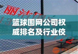 篮球围网公司权威排名及行业佼佼者深度解析