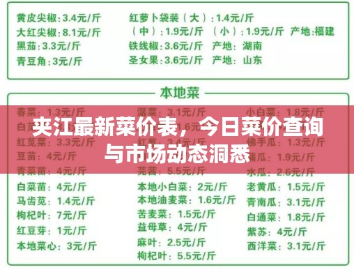 夹江最新菜价表，今日菜价查询与市场动态洞悉