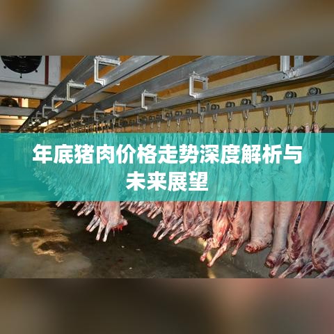 年底猪肉价格走势深度解析与未来展望