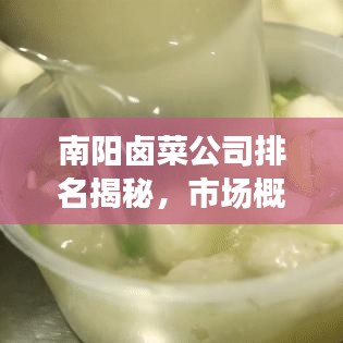 南阳卤菜公司排名揭秘，市场概况深度剖析