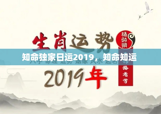 知命独家日运2019，知命知运 