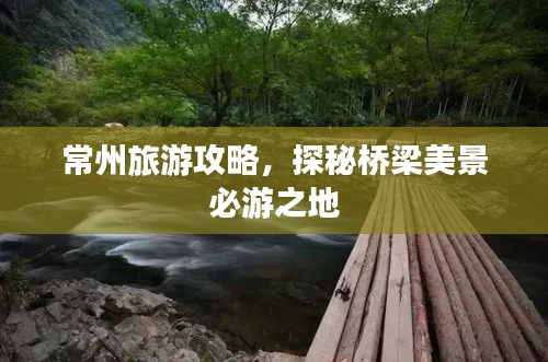 常州旅游攻略，探秘桥梁美景必游之地