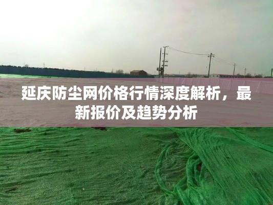 延庆防尘网价格行情深度解析，最新报价及趋势分析