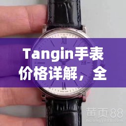 Tangin手表价格详解，全方位了解不同系列与款式价格！