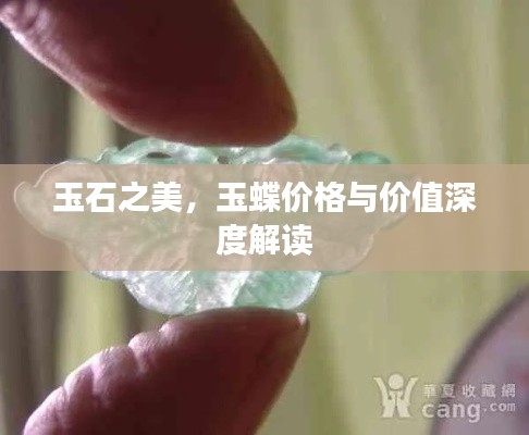 玉石之美，玉蝶价格与价值深度解读