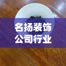 名扬装饰公司行业排名揭秘，行业佼佼者，品质之选！