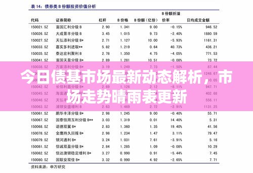 今日债基市场最新动态解析，市场走势晴雨表更新