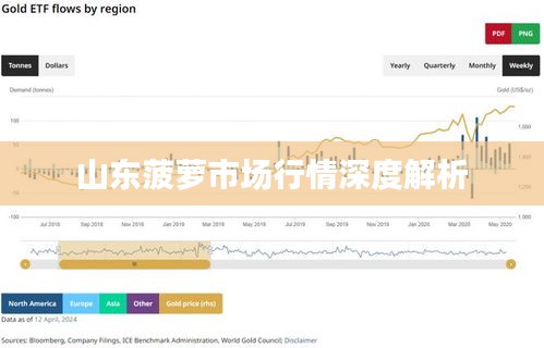 山东菠萝市场行情深度解析