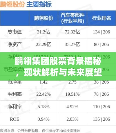 鹏翎集团股票背景揭秘，现状解析与未来展望