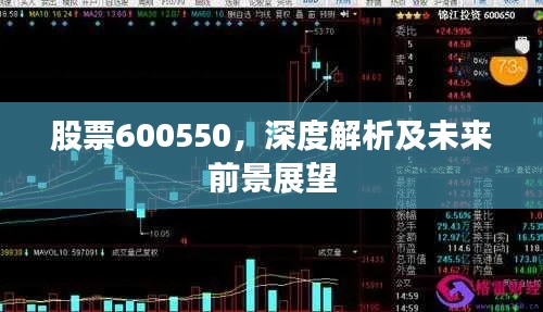 股票600550，深度解析及未来前景展望