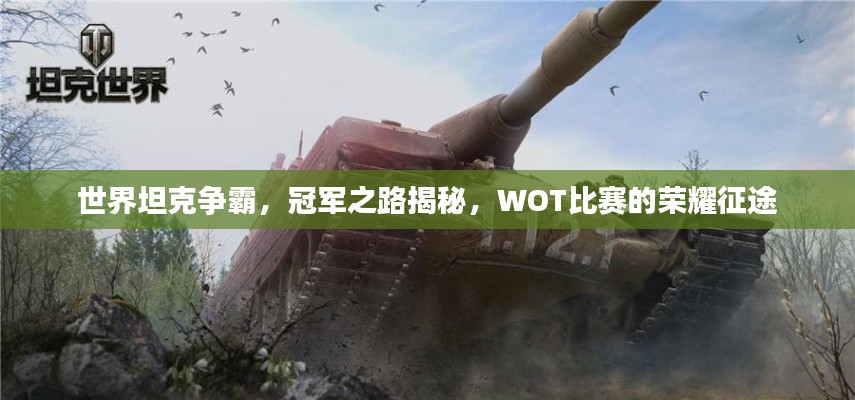 世界坦克争霸，冠军之路揭秘，WOT比赛的荣耀征途