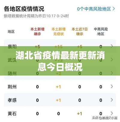 湖北省疫情最新更新消息今日概况