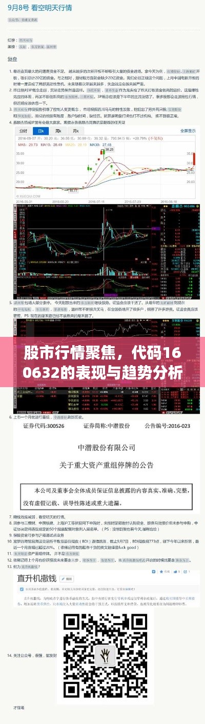 股市行情聚焦，代码160632的表现与趋势分析