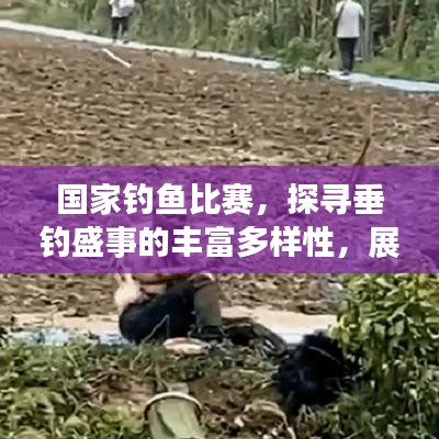 国家钓鱼比赛，探寻垂钓盛事的丰富多样性，展现中国垂钓魅力！