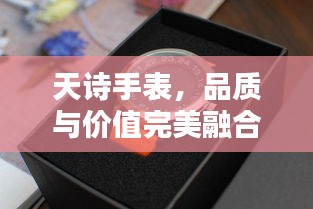 天诗手表，品质与价值完美融合的价格揭秘