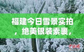 福建今日雪景实拍，绝美银装素裹，不容错过！