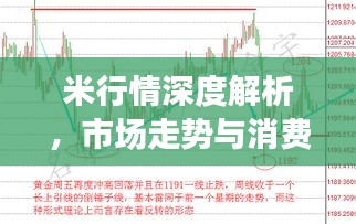 米行情深度解析，市场走势与消费趋势一网打尽