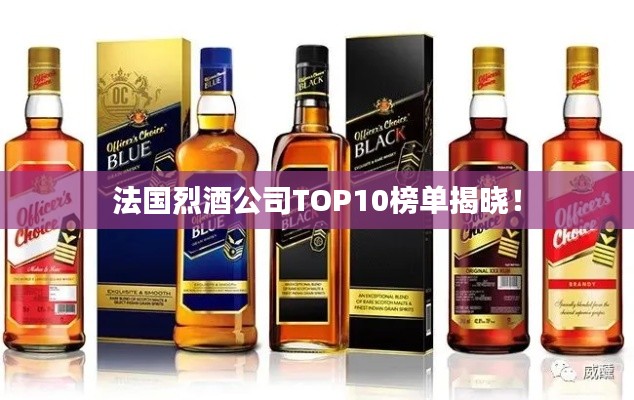 法国烈酒公司TOP10榜单揭晓！